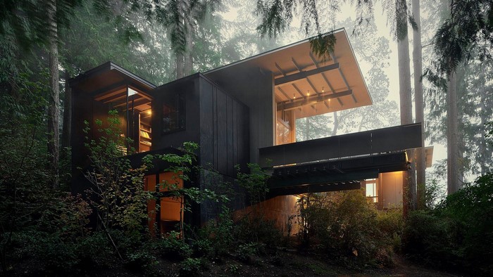 Modern house nestled in a misty forest