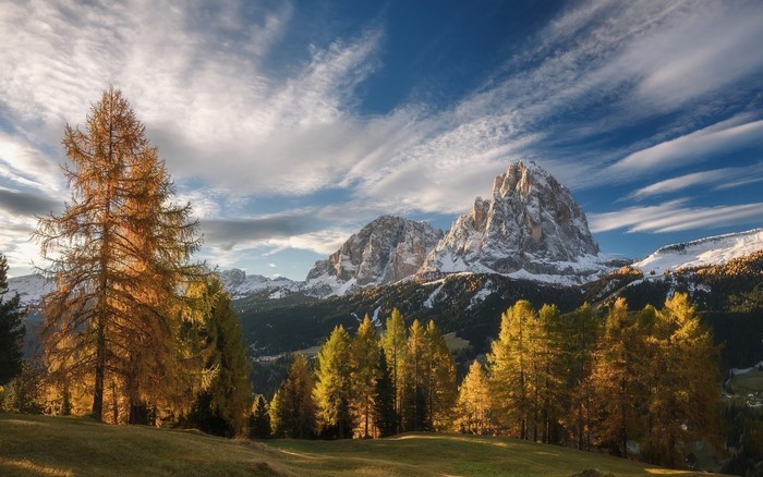 Autumn trees in front of snowy mountains under a cloudy sky