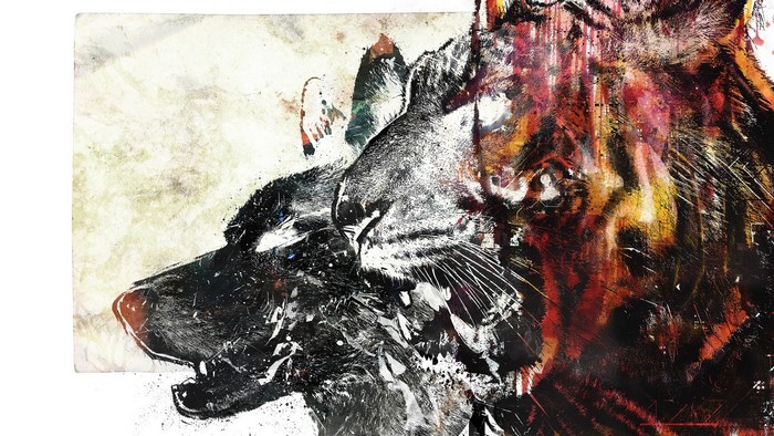 Wolf and Tiger Artwork