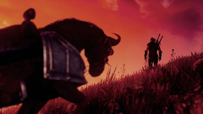 Geralt of Rivia from The Witcher 3: Wild Hunt