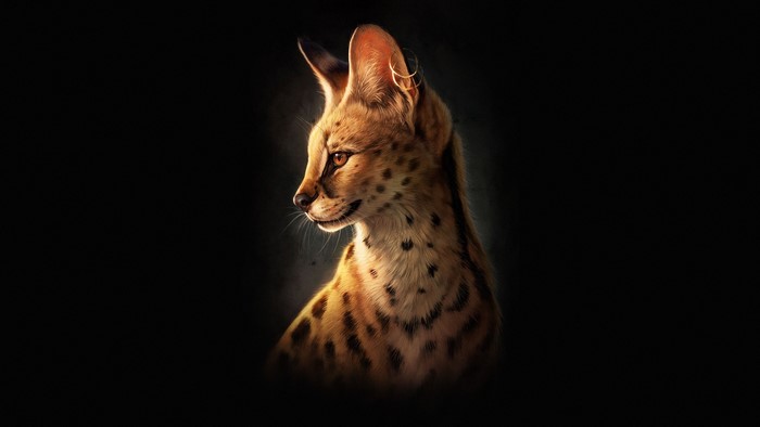 Serval cat portrait with spotted fur