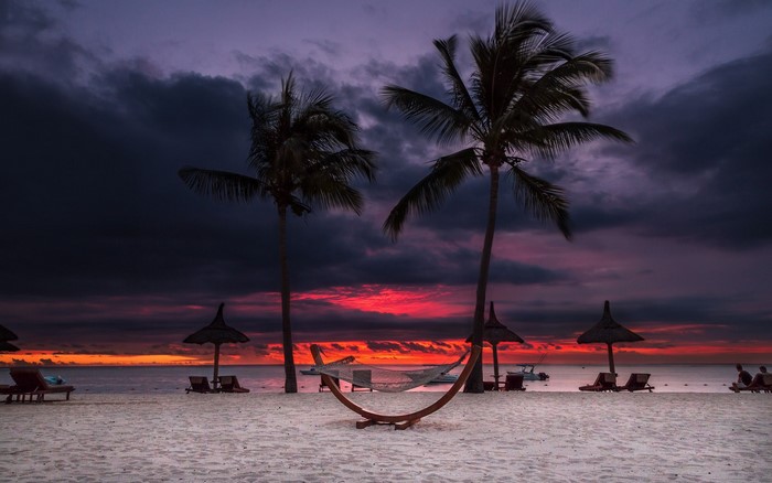 Beach with palm trees and hammock at sunset