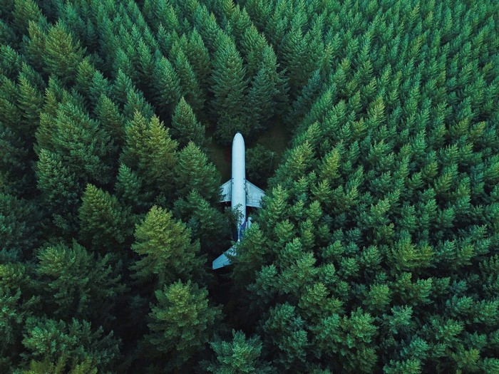 Airplane crashed in a dense green forest, aerial view