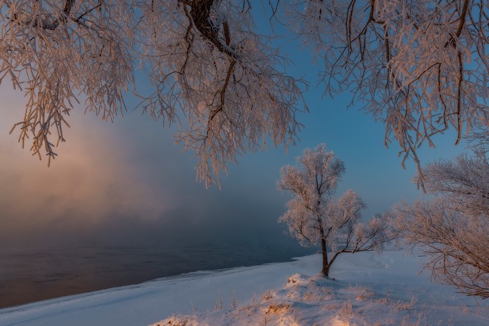 Winter landscape with frosted trees by a foggy river