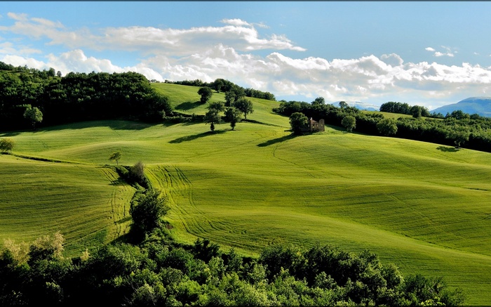 Rolling green hills with trees and a ruined building