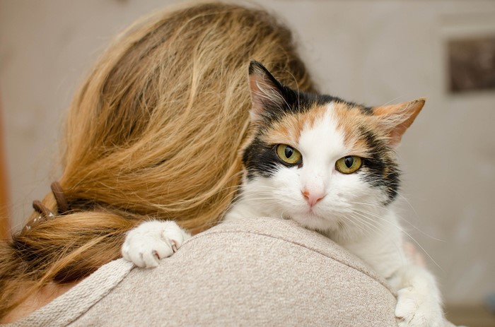 Calico cat resting on a woman's shoulder
