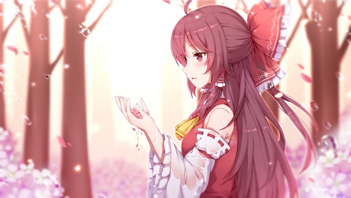 Hakurei Reimu from Touhou Project
