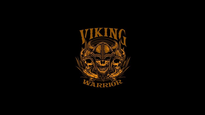 Viking warrior skulls artwork