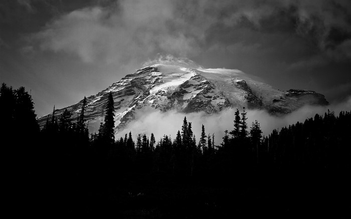 Monochrome mountain peak with trees and mist