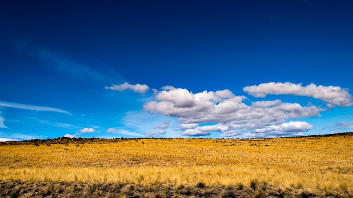 Golden field under a blue sky with clouds