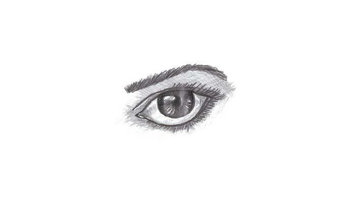 Pencil drawing of a human eye with eyebrow