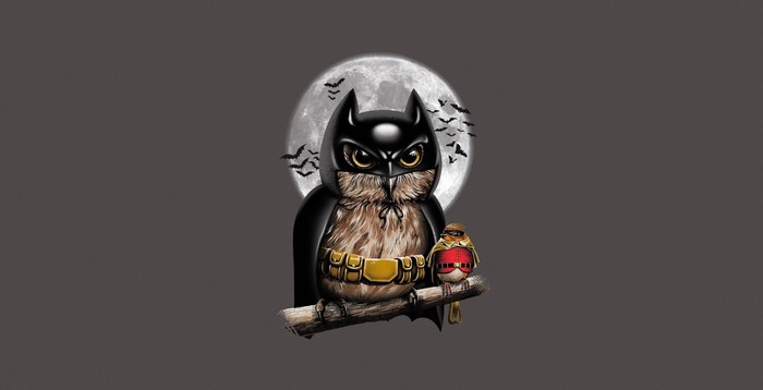 Batman owl with Robin bird on a branch