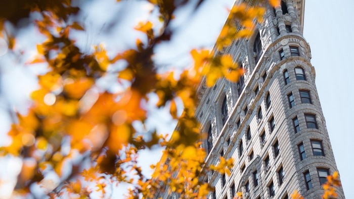 Flatiron Building with Autumn Leaves