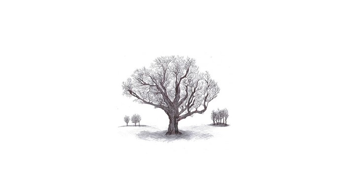 Pencil drawing of trees with shadows