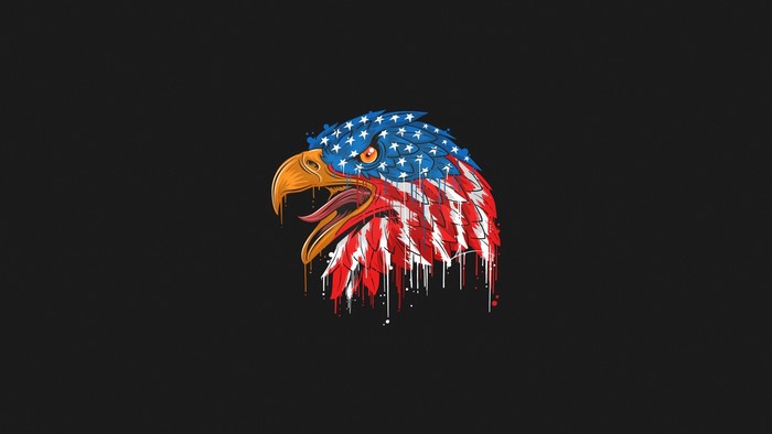 Eagle head with American flag design