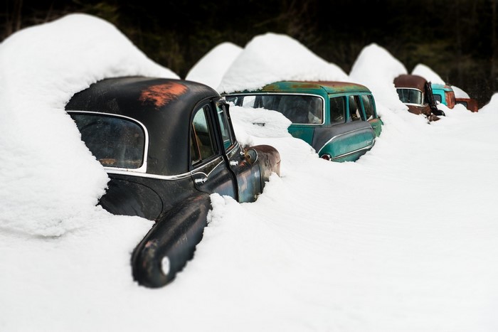 Old cars covered in snow in a forest