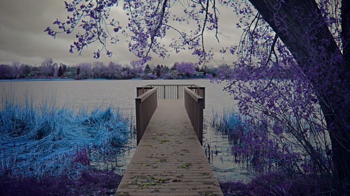 Infrared photography of a dock on a lake with purple trees