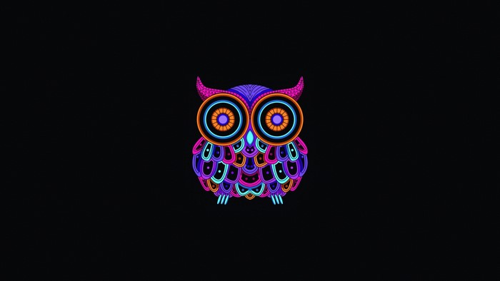 Neon owl illustration on black background