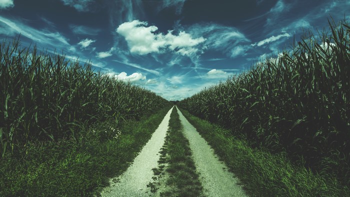 4K road through a cornfield under a cloudy sky