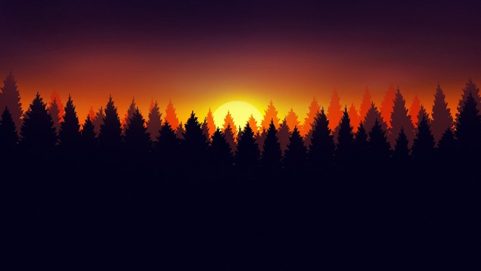 Sunset over a dark forest silhouette
