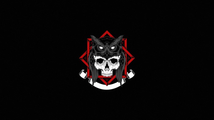 Skull with owl mask and red geometric background