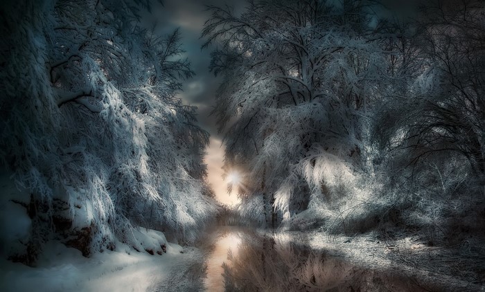 Snowy forest path with sunlight filtering through trees