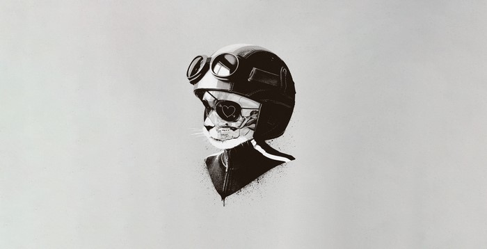 Cat wearing a helmet and goggles with an eyepatch