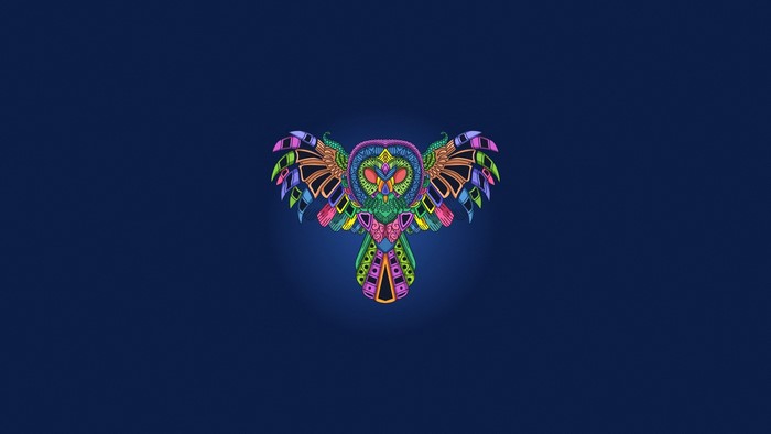 Colorful owl artwork on a dark blue background