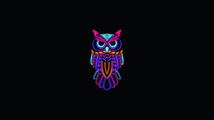 Colorful owl illustration on black background