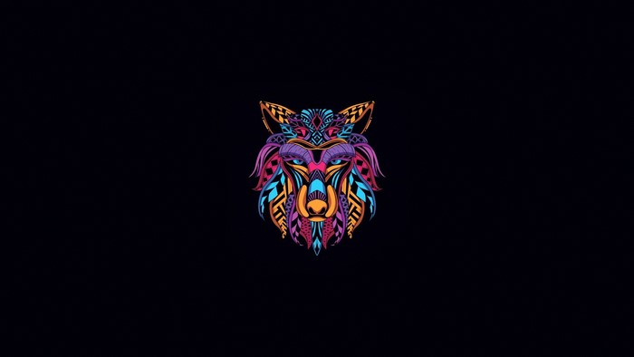 Colorful abstract wolf head artwork on black background