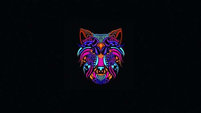 Colorful abstract wolf head illustration on black background