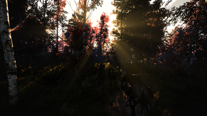 Geralt of Rivia from The Witcher 3: Wild Hunt