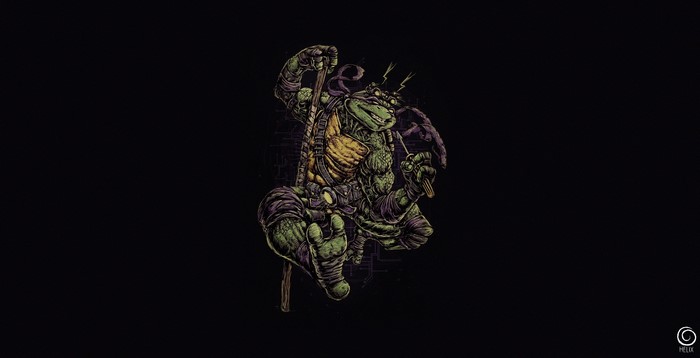 Donatello from Teenage Mutant Ninja Turtles artwork