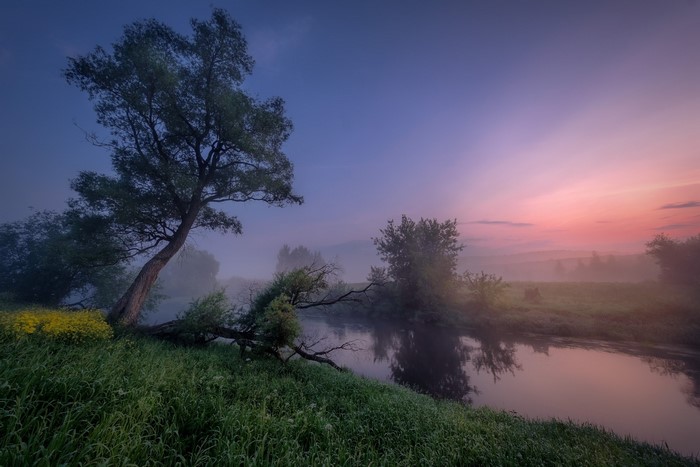 Misty river landscape at sunrise with trees