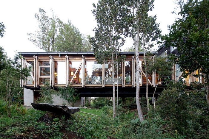 Modern wooden house with large windows in a forest