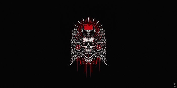 4K Skull Artwork with Wings and Roses