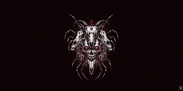 Creepy horror artwork with skulls and spiders