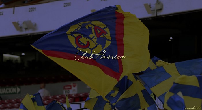 Club América flags waving in stadium