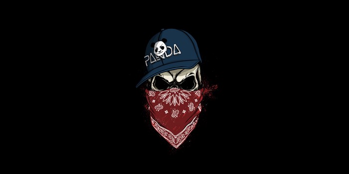 Skull with Panda hat and bandana