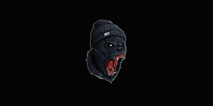 Gorilla wearing a beanie