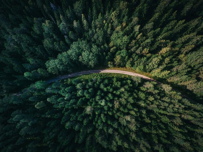 Aerial view of a winding road through a dense forest