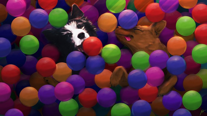 Two dogs playing in colorful balls