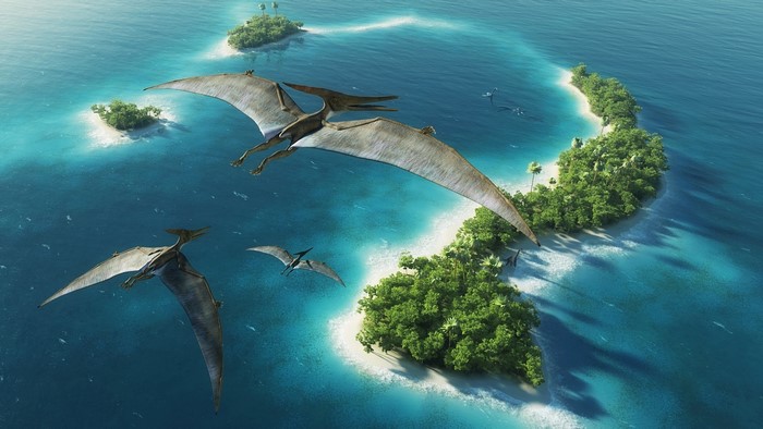 Pteranodons flying over tropical islands in the sea