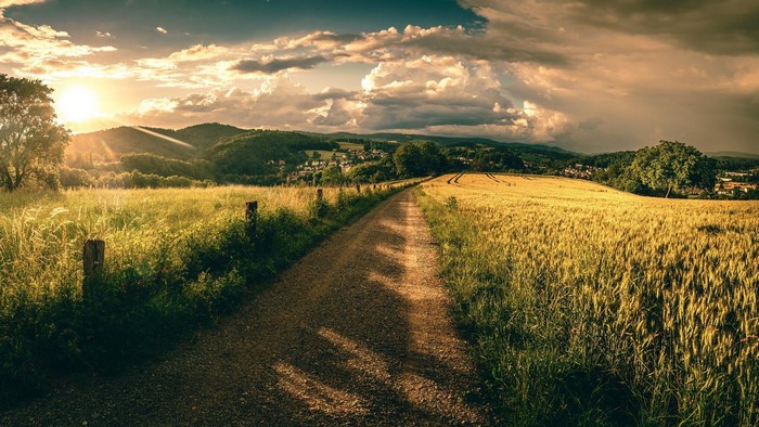 Dirt road through a field at sunset