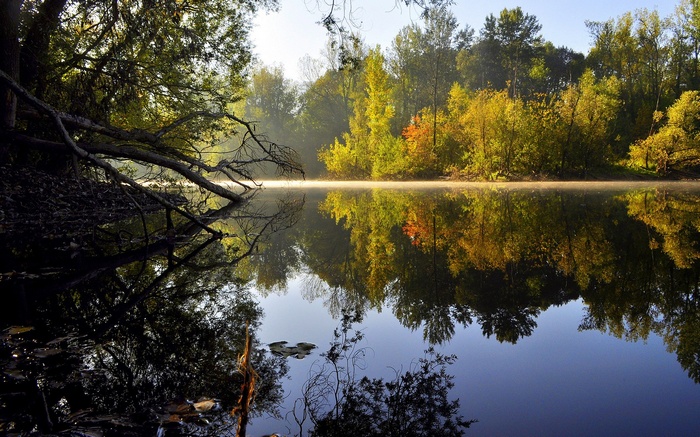 Autumn trees reflected in a misty lake