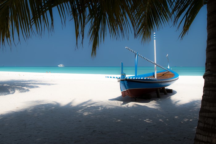 Boat on a tropical beach with palm trees and ocean