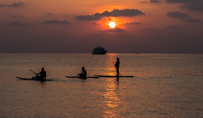 People paddleboarding at sunset with a boat in the distance