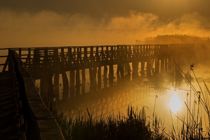 Wooden bridge over misty water at sunrise