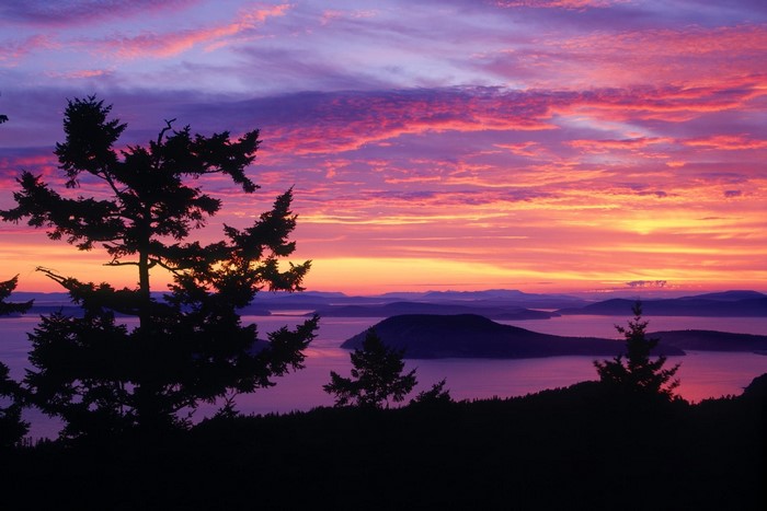 Silhouette trees against a vibrant sunset over islands and water