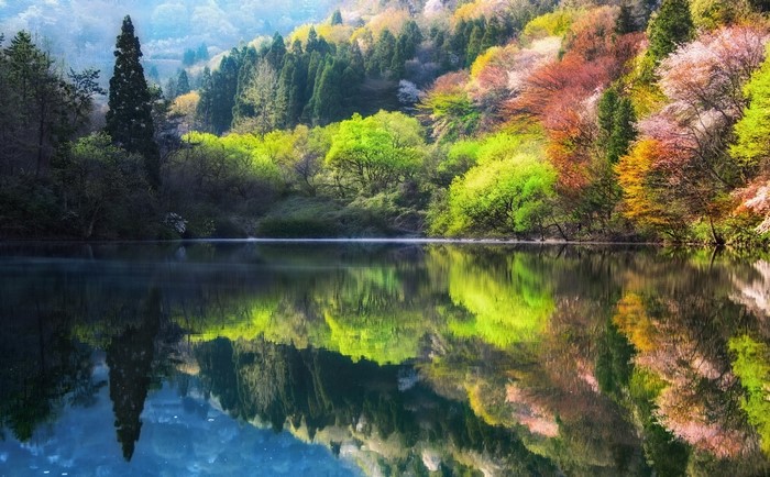 Colorful trees reflecting in a calm lake